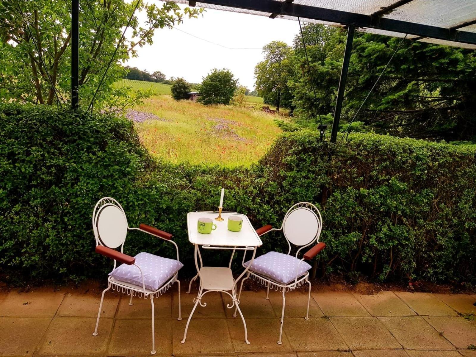 Ferienhaus Gransee Unmittelbar Am Stechlinsee - Radweg Ngoại thất bức ảnh